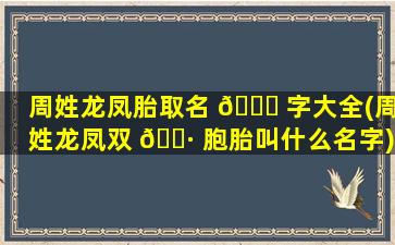 周姓龙凤胎取名 🕊 字大全(周姓龙凤双 🌷 胞胎叫什么名字)